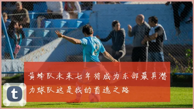 黄蜂队未来七年将成为东部最具潜力球队这是我的首选之路